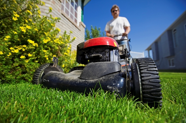 Reel Lawn Mowers: 15 Questions Answered! - Take a Yard