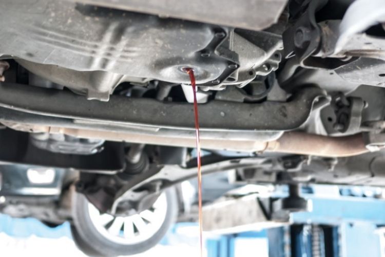 replace transmission fluid cost